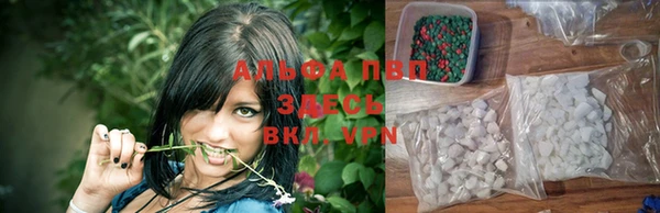 каннабис Богданович