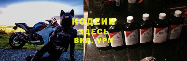 индика Богородицк