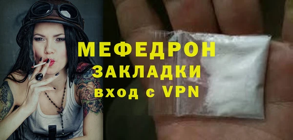 индика Богородицк