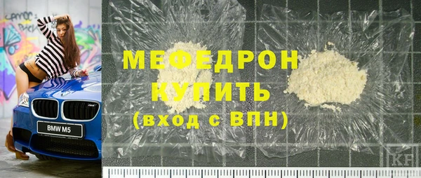 индика Богородицк