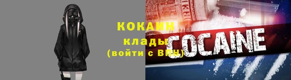 индика Богородицк
