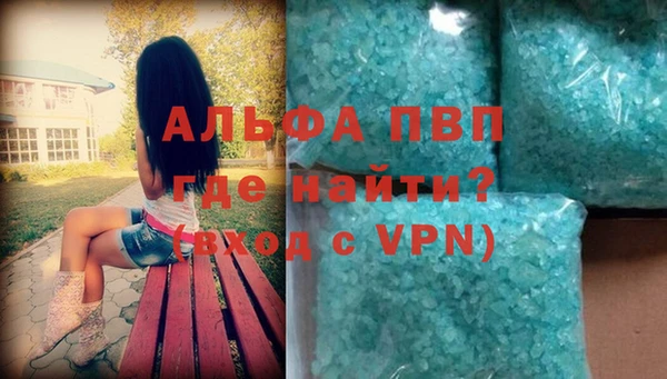 индика Богородицк