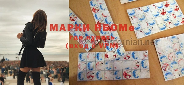 индика Богородицк