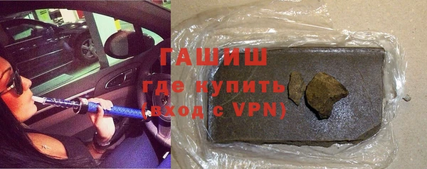 стаф Ельня