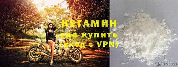 индика Богородицк