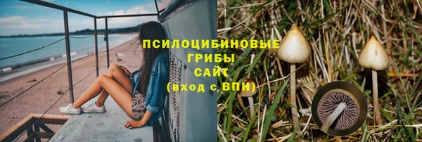 крисы Богородск