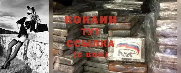 крисы Богородск