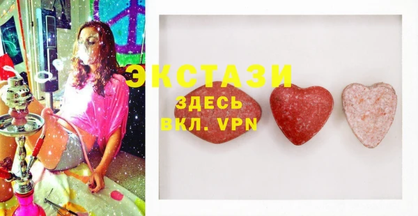 индика Богородицк