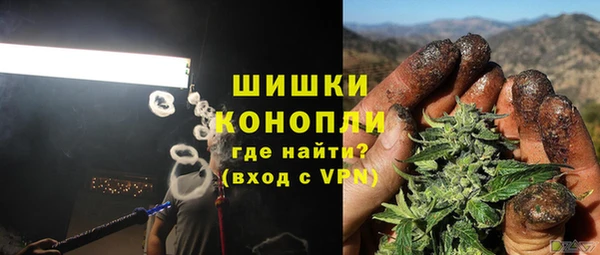 индика Богородицк