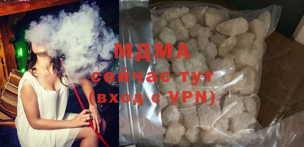 индика Богородицк