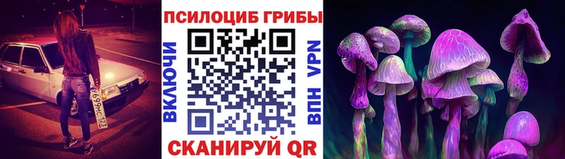 наркошоп  Приволжский  Галлюциногенные грибы Cubensis 